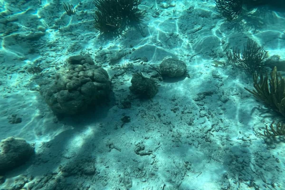 圣佩德罗 白沙湾旅馆酒店 外观 照片